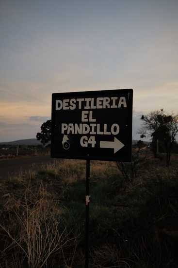 Placa da Destilaria El Pandillo ao entardecer